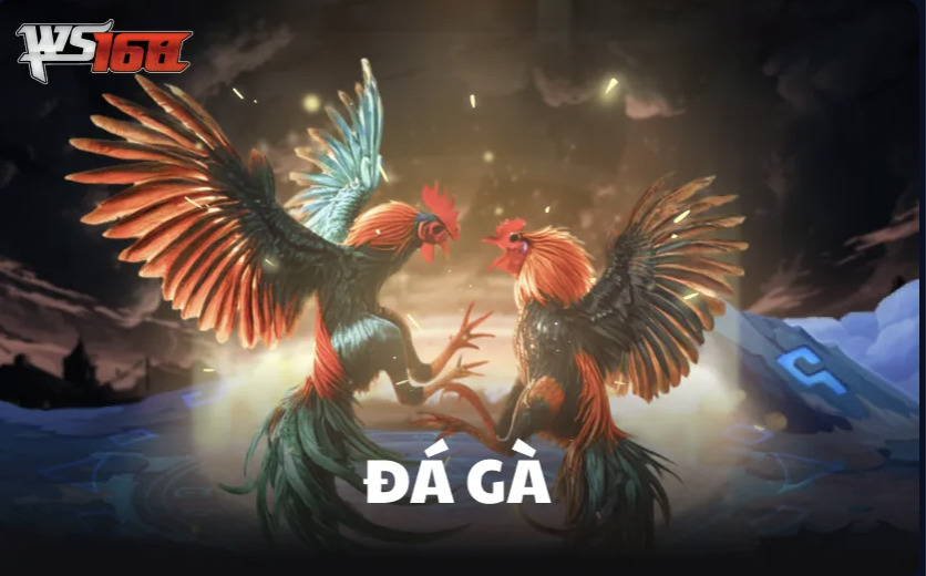 Đá gà online tại nhà cái hong88