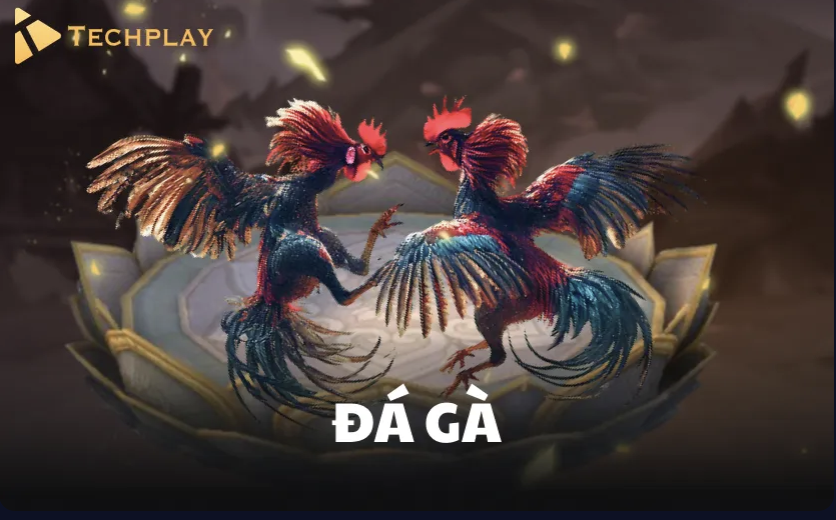 Đá gà trực tiếp tại nhà cái Hong88